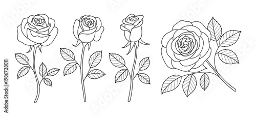 Set of four black and white rose flower with stems and leaves drawn in a simple line style on a plain white background