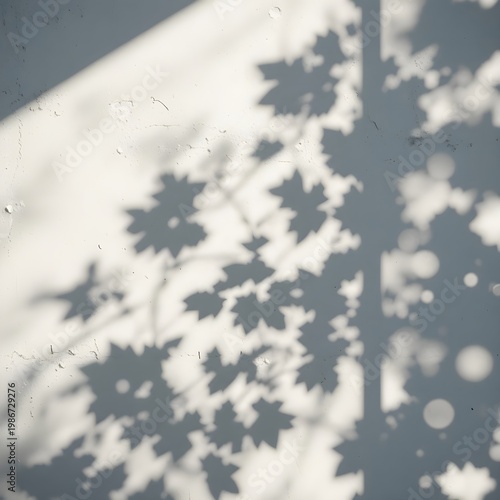 The shadow of tree leaves cast upon a surface aesthetic simple composition