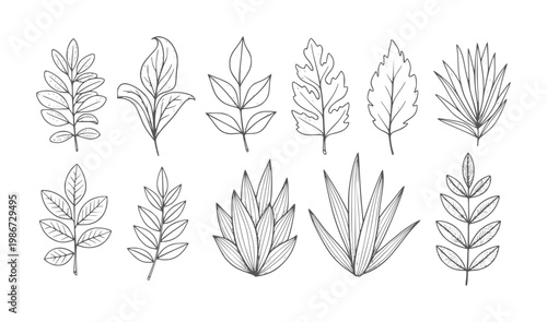 Hand drawn botanical leaf collection in style nature plant foliage