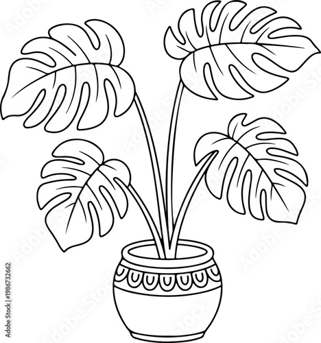 Monstera Deliciosa houseplant in a decorative pot, black and white outline drawing of a tropical plant for home decor