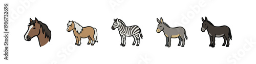 Set of Horse and Equine Icons featuring Stallion Head, Pony, Zebra, and Donkey
