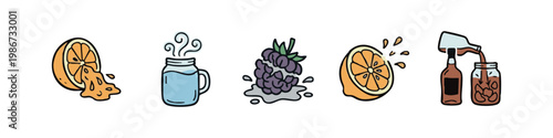 Fruit Juice and Beverage Preparation Icons with Orange Blackberry and Liquor