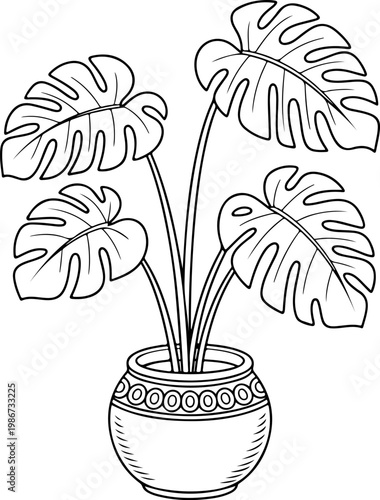 Monstera deliciosa plant illustration in a decorative pot, a botanical drawing of a tropical houseplant in a ceramic planter, line art