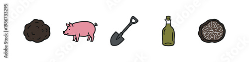 Truffle Hunting and Foraging Icon Set with Pig Shovel and Rare Fungi