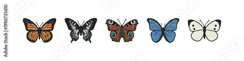 Butterfly Collection: Monarch, Swallowtail, Peacock, Blue Morpho, Cabbage White