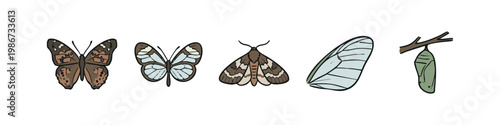 Butterfly and Moth Icons: Brown Butterfly, Blue-winged Butterfly, Moth, Wing, Chrysalis