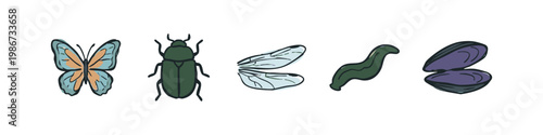 Hand-drawn icons of a butterfly, beetle, wings, slug, and mussel.