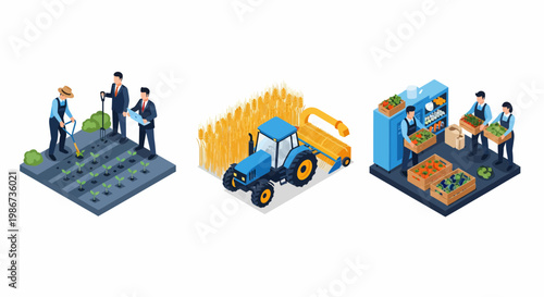 Men work at farm with a blue tractor to grow and pack food for a shop