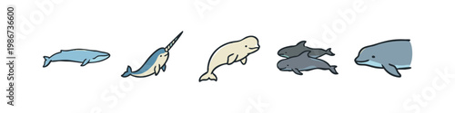 Ocean mammal icons: whale, narwhal, beluga, dolphins