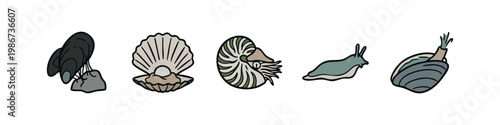 Marine life icons: mussels, scallop, nautilus, sea slug, clam