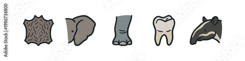 African animal part icons: hide, ear, leg, tooth, tapir