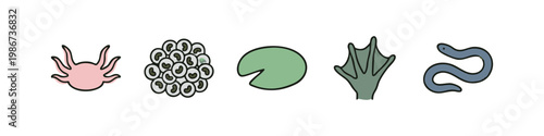 Amphibian and aquatic icons: axolotl, eggs, lily pad, webbed foot, eel