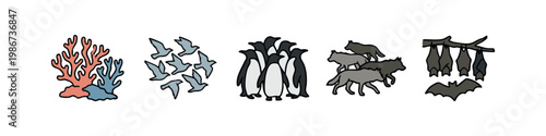 Animal group icons: coral, flock of birds, penguins, wolves, bats