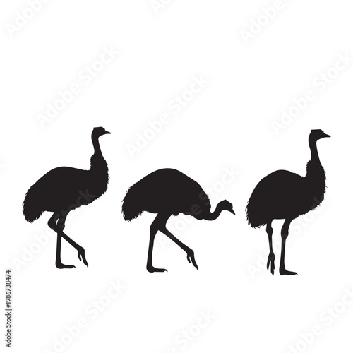 Emu Silhouette Set Black White Vector Minimal Illustration
Emu Bird Silhouettes Collection Simple Flat Design Pack
Emu Vector Bundle Black and White Wildlife Silhouette Set