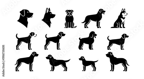Dog breed silhouette icons set, black canine animal vector collection, 13 pet breed symbols for veterinary and pet care branding