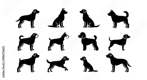 Dog breed silhouettes set, 12 black canine icons in flat vector style, purebred puppy profiles for pet shop branding and veterinary clinic signage