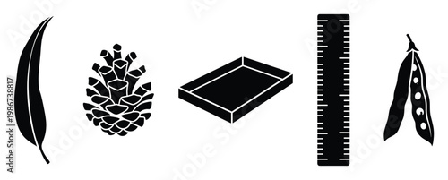 Collection of natural and utility silhouettes including a leaf, pine cone, open tray, measuring ruler, and pea pod, ideal for educational content and simple graphic designs.