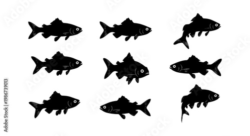 Black fish silhouettes collection, set of 9 aquatic animal icons, minimalist freshwater fish vector shapes on white background for fishing logos