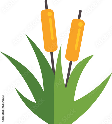 Cattail plants with green leaves and brown heads on a white background
