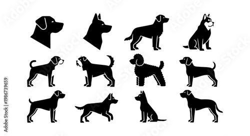 Minimalist dog breed silhouettes, set of 12 black canine icons, flat vector illustrations of various pedigree dogs for veterinary and pet care branding