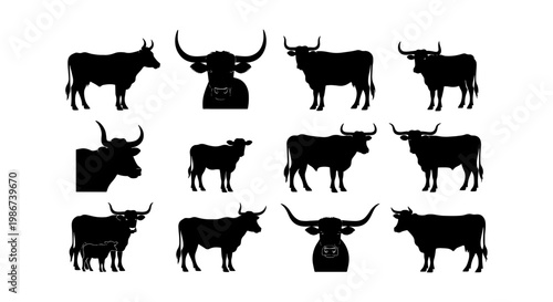 Bull and cow silhouette collection, 12 cattle livestock vector icons, black farm animal shapes, longhorn and ox profile set for ranch branding