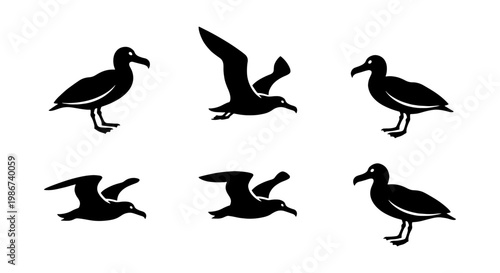 Albatross bird silhouette collection, set of 6 black seabird icons in flying and standing poses, marine wildlife vector graphics for nautical design