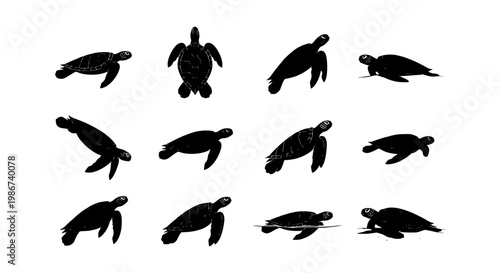 Sea turtle silhouette collection, set of 12 marine animal icons, black aquatic reptile shapes, ocean wildlife vector graphics for nature conservation