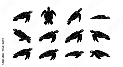 Sea turtle silhouette collection, set of 12 black marine turtle icons, ocean wildlife vector graphics for nature conservation and beach branding