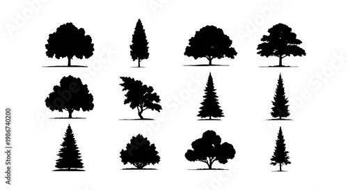 Black tree silhouettes collection, set of 12 deciduous and coniferous tree icons, forest plant vector elements for landscape design and architecture