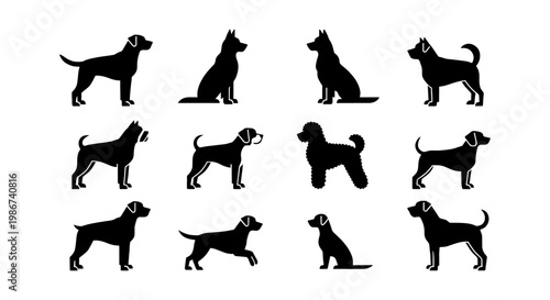 Black dog silhouettes set, 12 vector canine breed icons, minimalist pet animal profile collection for vet and kennel branding