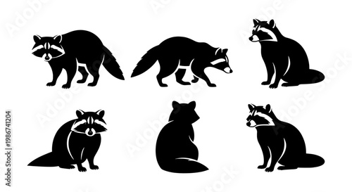 Raccoon silhouette vector set, 6 black raccoon icons in various poses, wild animal character collection for nature branding and logo design