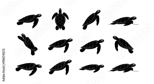Sea turtle silhouette collection, set of 12 marine animal vector icons, black aquatic tortoise shapes for ocean conservation and beach branding