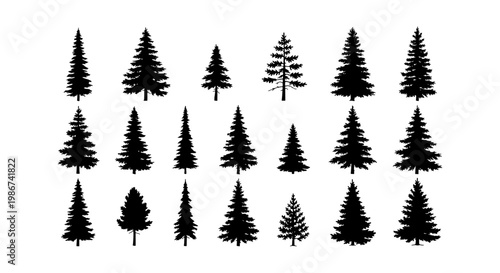 Coniferous pine tree silhouettes, set of 18 evergreen forest tree icons, black spruce and fir vector elements for outdoor landscape design