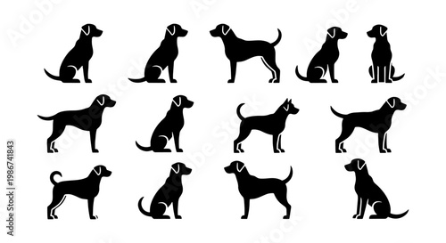 Black dog silhouettes collection, set of 13 labrador and retriever vector icons, canine pet animal profiles in sitting and standing poses