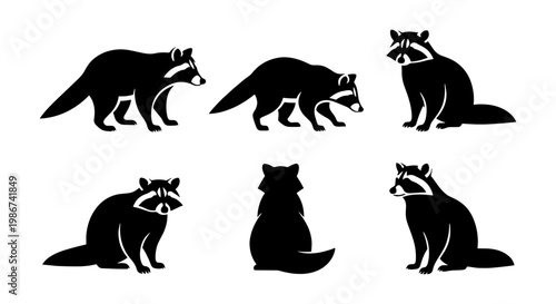 Raccoon silhouette collection, 6 black animal icons in various poses, minimalist wildlife vector set, forest mammal graphic elements for logos