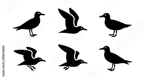 Seagull silhouette vector set, black sea bird icons in flying and standing poses, 6 minimalist coastal bird elements for marine logos