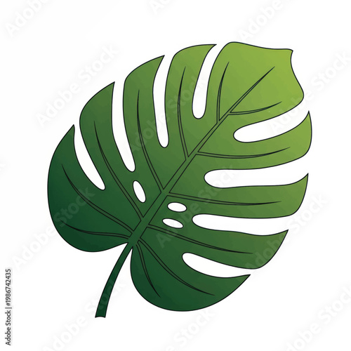 Vibrant Monstera leaf illustration with tropical green foliage and natural shading.