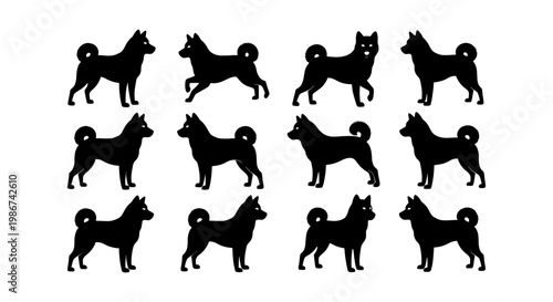 Shiba Inu dog silhouettes, set of 12 black canine vector icons, Japanese Akita breed profiles, standing and walking dog poses for logo design