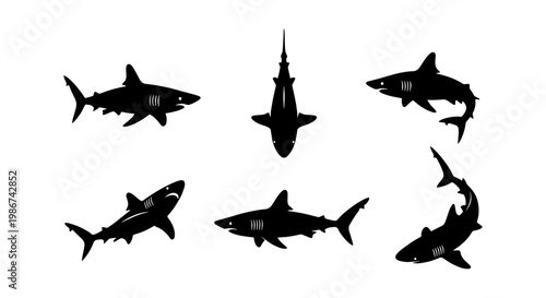 Great white shark silhouettes collection, black predatory fish vector set, 6 marine animal icons for ocean conservation and fishing graphics