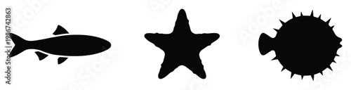 Ocean life silhouettes including a fish, starfish, and pufferfish, useful for educational materials, marine biology presentations, or aquatic themed graphic projects