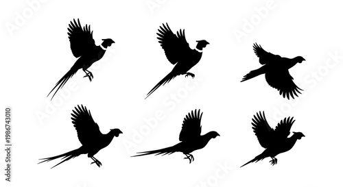 Flying pheasant silhouettes set, black bird vector icons of wild game birds in flight, 6 pheasant elements for hunting club logos and nature designs