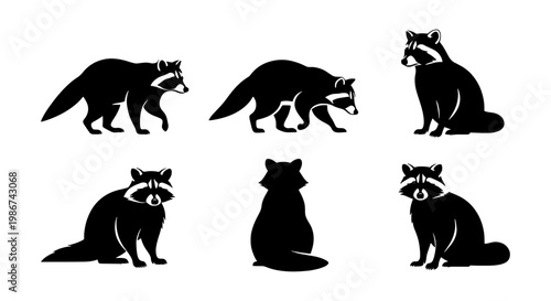 Raccoon silhouette vector set, black and white forest animal icons, 6 raccoon elements in various poses, minimalist wildlife graphic design