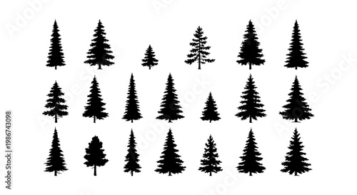 Pine tree silhouette collection, 20 evergreen forest conifer vector elements, black spruce and fir tree icons for outdoor landscape design