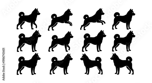 Siberian Husky dog silhouette collection, 12 black canine vector icons, Alaskan Malamute and Akita Inu breed poses for pet branding and logo design