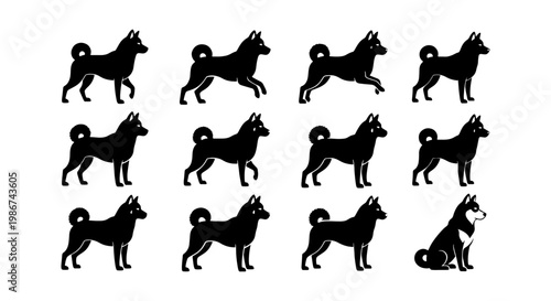 Shiba Inu dog silhouette icons, set of 12 black canine vector elements, Japanese Akita breed in various poses, walking and sitting dog graphics