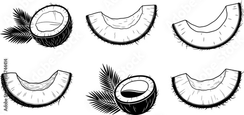 Coconut slices and halves with leaves illustration set