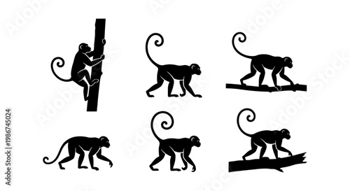 Black monkey silhouette set, 6 primate vector icons, wild macaque climbing and walking poses, jungle animal silhouettes for logo design