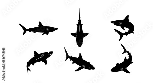 Shark silhouette vector collection, 6 black shark icons in various swimming poses, predatory marine animal set for logo and graphic design