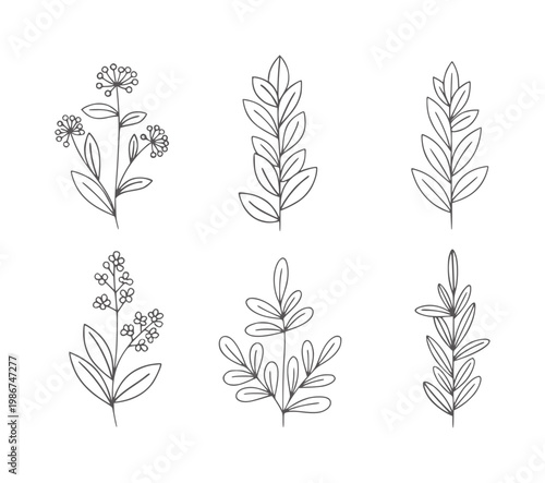 Six black and white hand drawn botanical leaves and flowers line