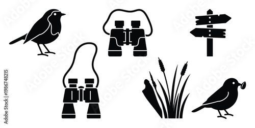 Birdwatching equipment and nature elements including songbirds, binoculars, a direction signpost, and tall grass for outdoor adventure and wildlife exploration applications